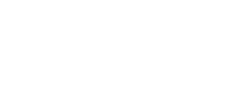 国际护照 伊朗护照 - 通行中国